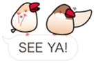 Message Java sparrows for English. sticker #6171962