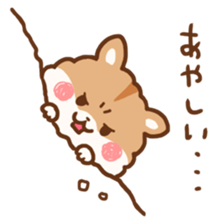 fluffy hamster sticker #6173944