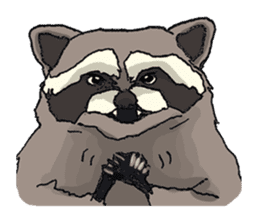 Oliver The Raccoon - Family Gone Wild sticker #6175223