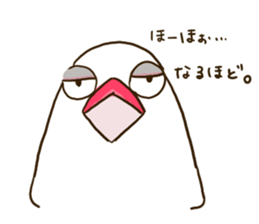 Everyday javasparrow and Parakeet 3 sticker #6176621