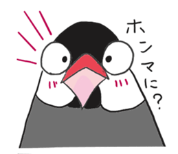 Everyday javasparrow and Parakeet 3 sticker #6176624