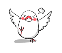 Everyday javasparrow and Parakeet 3 sticker #6176625