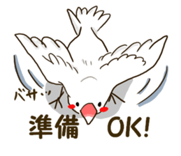 Everyday javasparrow and Parakeet 3 sticker #6176626