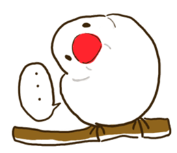 Everyday javasparrow and Parakeet 3 sticker #6176627