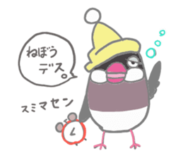 Everyday javasparrow and Parakeet 3 sticker #6176640