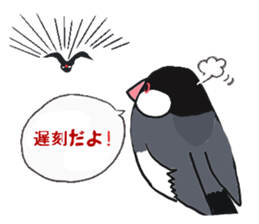 Everyday javasparrow and Parakeet 3 sticker #6176642