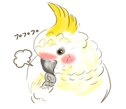 Everyday javasparrow and Parakeet 3 sticker #6176644