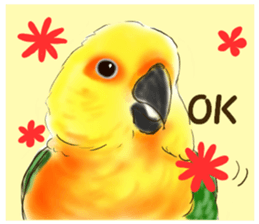 Everyday javasparrow and Parakeet 3 sticker #6176647