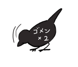 Everyday javasparrow and Parakeet 3 sticker #6176649