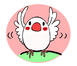 Everyday javasparrow and Parakeet 3 sticker #6176651