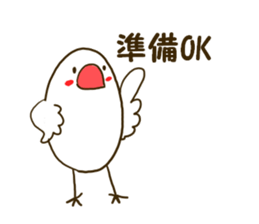 Everyday javasparrow and Parakeet 3 sticker #6176654