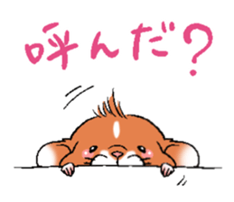 Strange face hamster Sticker sticker #6178058