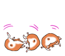 Strange face hamster Sticker sticker #6178066