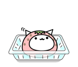 Cute cat of strawberry sticker #6180445