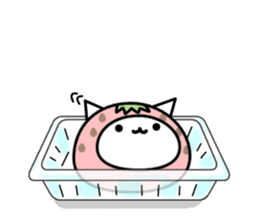 Cute cat of strawberry sticker #6180445