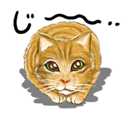 Cat type human sticker #6180900