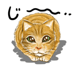 Cat type human sticker #6180900