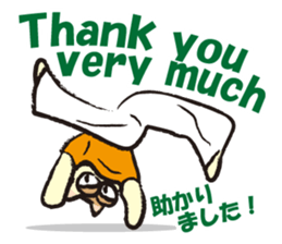 capoeira cat sticker "chaco" sticker #6183006