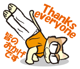 capoeira cat sticker "chaco" sticker #6183007