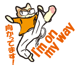 capoeira cat sticker "chaco" sticker #6183017