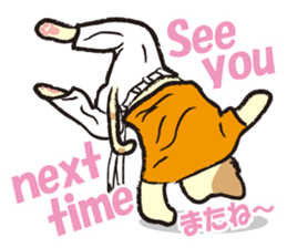 capoeira cat sticker "chaco" sticker #6183027