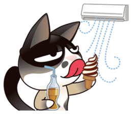 Snowshoe Cat Lumang II (ENG) sticker #6183245