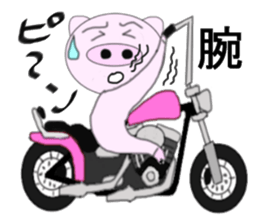 The pig began to ride a motorcycle 2nd sticker #6187366