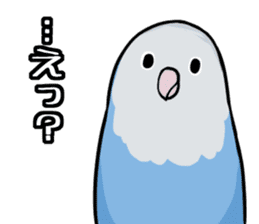 Daily parakeet sticker #6189964