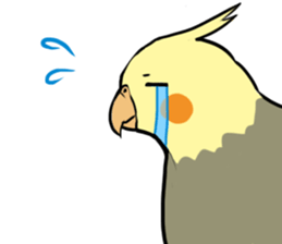 Daily parakeet sticker #6189976