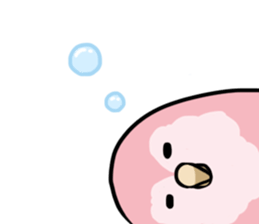 Daily parakeet sticker #6189992