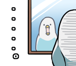 Daily parakeet sticker #6189994