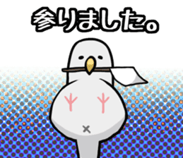 Daily parakeet sticker #6190004