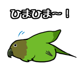 Daily parakeet sticker #6190008