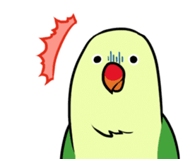 Daily parakeet sticker #6190014