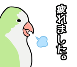 Daily parakeet sticker #6190018