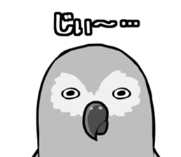 Daily parakeet sticker #6190024