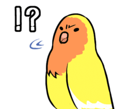 Daily parakeet sticker #6190030