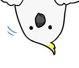 Daily parakeet sticker #6190036