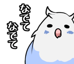 Daily parakeet sticker #6190039