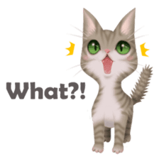 Cat Talk English sticker #6191811