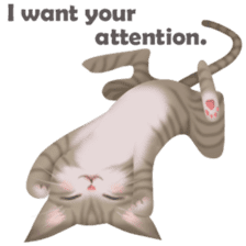 Cat Talk English sticker #6191825