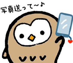 One day of owl sticker #6194056