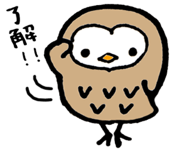 One day of owl sticker #6194064