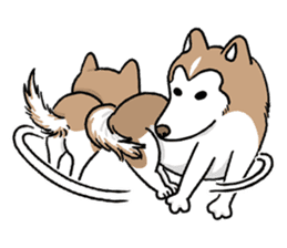 Huskies-Fendi sticker #6195683
