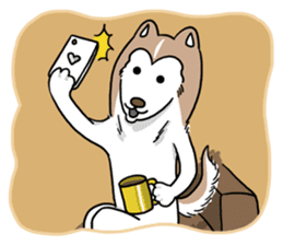 Huskies-Fendi sticker #6195703