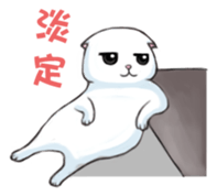 Scottish Fold-White Rabbit sticker #6195721