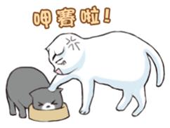 Scottish Fold-White Rabbit sticker #6195725