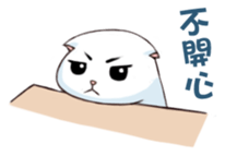 Scottish Fold-White Rabbit sticker #6195732
