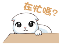 Scottish Fold-White Rabbit sticker #6195735