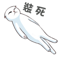 Scottish Fold-White Rabbit sticker #6195738